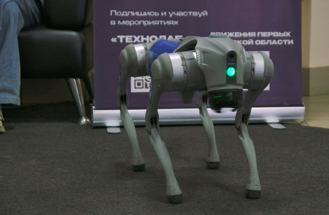 Робособака с сумкой «Технолаб»